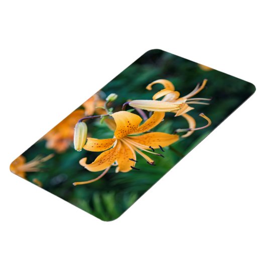 4x6 Flachbildschirm Magnet (Linke Seite)