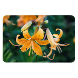 4x6 Flachbildschirm Magnet