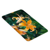 4x6 Flachbildschirm Magnet (Rechte Seite)