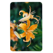 4x6 Flachbildschirm Magnet (Vertikal)