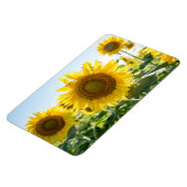 4x6 Flachbildschirm Magnet (Linke Seite)