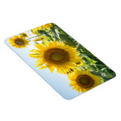 4x6 Flachbildschirm Magnet (Rechte Seite)