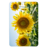 4x6 Flachbildschirm Magnet (Vertikal)