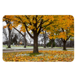 4x6 Flachbildschirm Magnet