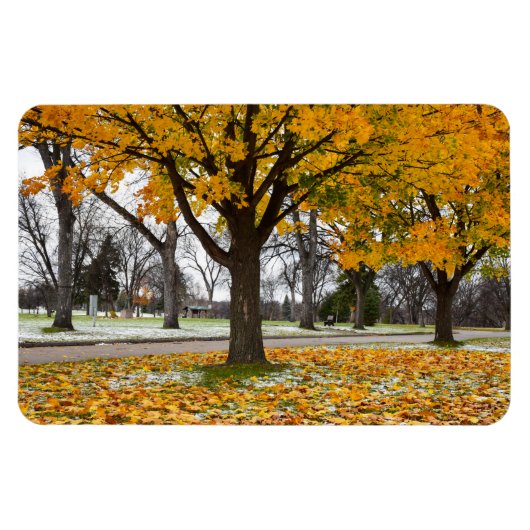 4x6 Flachbildschirm Magnet (Horizontal)