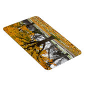 4x6 Flachbildschirm Magnet (Rechte Seite)