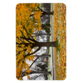 4x6 Flachbildschirm Magnet (Vertikal)