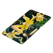 4x6 Flachbildschirm Magnet (Linke Seite)