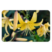 4x6 Flachbildschirm Magnet (Horizontal)