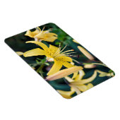 4x6 Flachbildschirm Magnet (Rechte Seite)