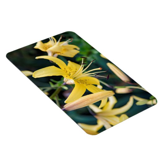 4x6 Flachbildschirm Magnet (Rechte Seite)