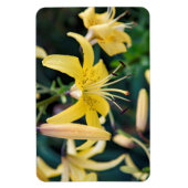 4x6 Flachbildschirm Magnet (Vertikal)