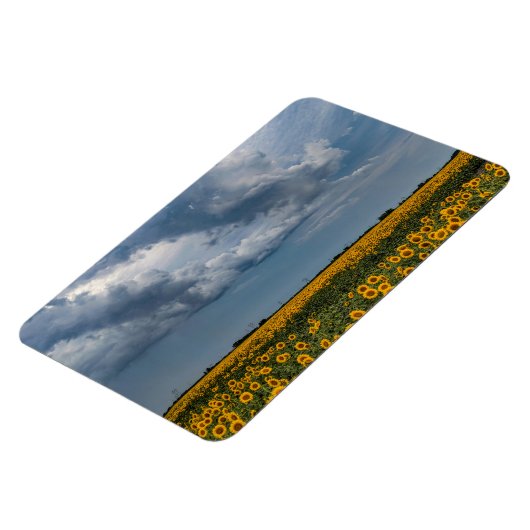 4x6 Flachbildschirm Magnet (Linke Seite)