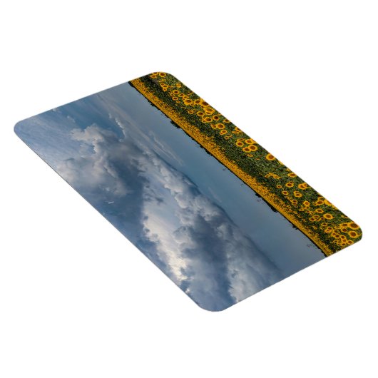 4x6 Flachbildschirm Magnet (Rechte Seite)