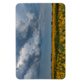 4x6 Flachbildschirm Magnet (Vertikal)