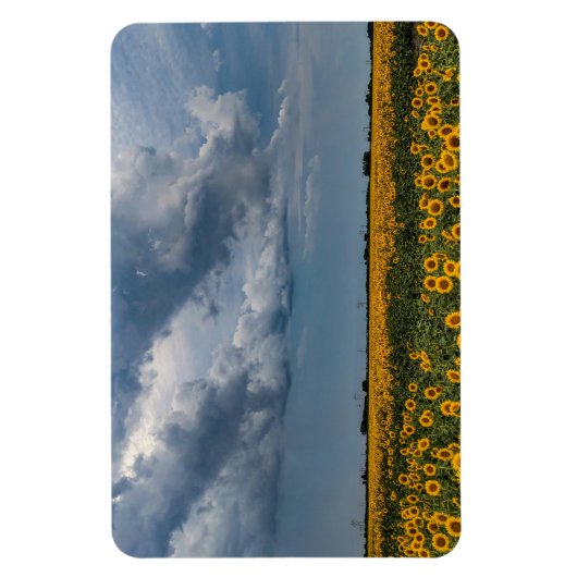 4x6 Flachbildschirm Magnet (Vertikal)