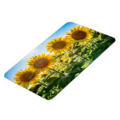 4x6 Flachbildschirm Magnet (Linke Seite)