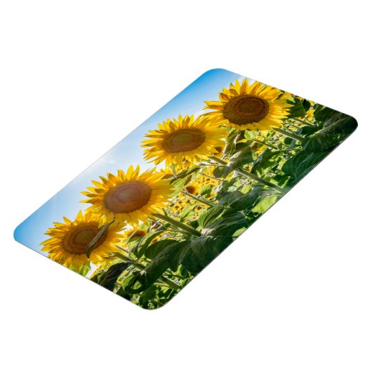 4x6 Flachbildschirm Magnet (Linke Seite)