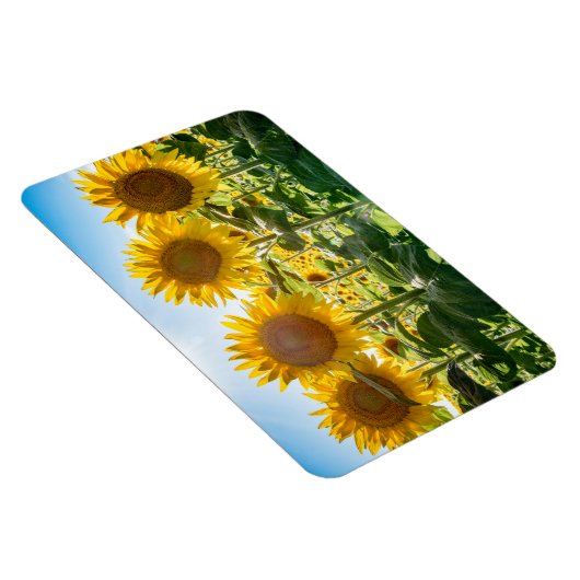 4x6 Flachbildschirm Magnet (Rechte Seite)