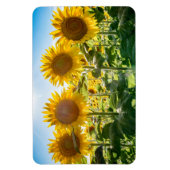 4x6 Flachbildschirm Magnet (Vertikal)