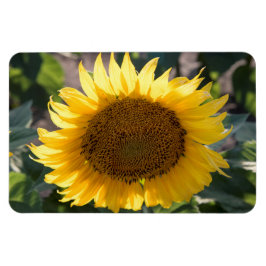 4x6 Flachbildschirm Magnet