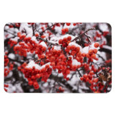 4x6 Flachbildschirm Magnet (Horizontal)