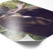 4x6 Foto Elch (Ecke)
