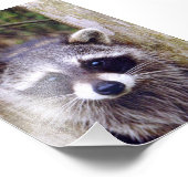 4x6-Foto Fotodruck (Ecke)