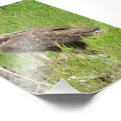 4x6-Foto Fotodruck (Ecke)