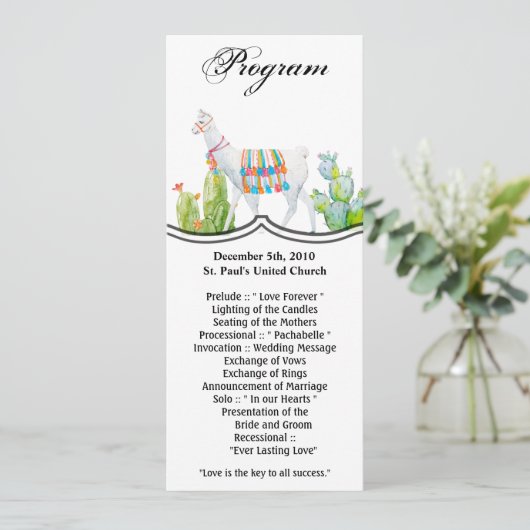 4x9.25 Programmkarten Boho Llama Bohemisch Cacti D Einladung (Stehend Vorderseite)