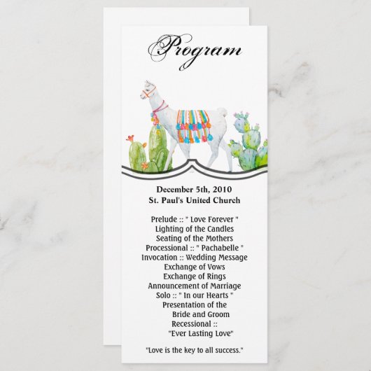 4x9.25 Programmkarten Boho Llama Bohemisch Cacti D Einladung (Vorne/Hinten)