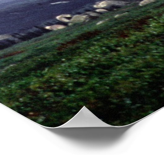 501. Para Infantry Poster (Ecke)