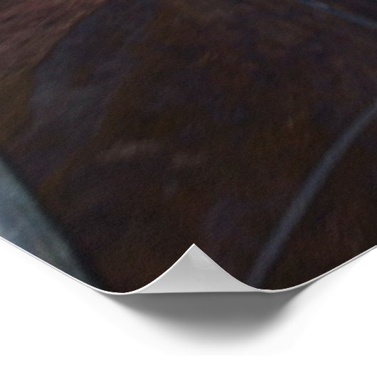 501st Parachute Infantry Regiment Poster (Ecke)