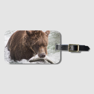 503 Cubadult Fisherbear Gepäckanhänger