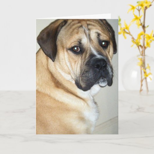 50. ABER IMMER NOCH DER OBERE HUND KARTE (Gelbe Blume)