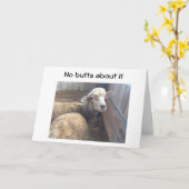 50. GEBURT KEIN HINTERN DARÜBER, DASS SIE ÜBER DEM KARTE (Gelbe Blume)