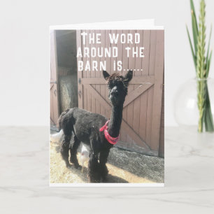 "50. GEBURTSTAG?? ES KANN NICHT GLAUBEN, DASS IT-K KARTE