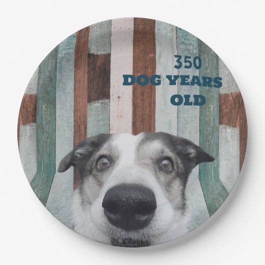 50. Geburtstag gestreifter Hund Nah-up Papierplatt Pappteller (Vorderseite)
