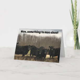 **50.** GEBURTSTAG IST ETWAS FÜR "MOO ÜBER" KARTE