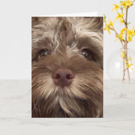 *50. GEBURTSTAG SPASS AUS COCKAPOO" KARTE (Gelbe Blume)