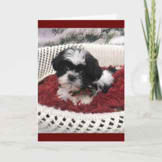"50. GEBURTSTAG" SPASS AUS NIEDLICHER PUPPY JE KARTE