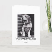 50. Geburtstagskarte, Rodeo! Karte (Rückseite)