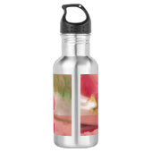 50. Jahrestag der religiösen Verhaftung Pink Ro Trinkflasche (Rückseite)