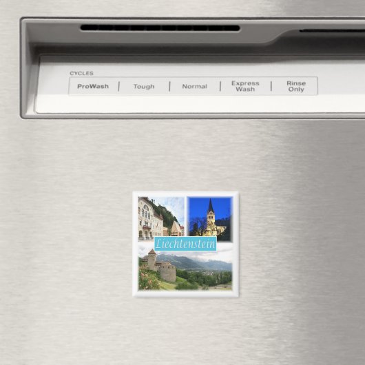 50 MAGNET (In Situ (Geschirrspüler))