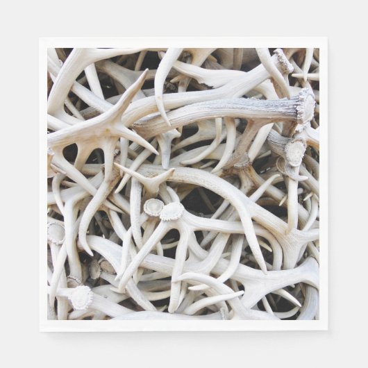 50 Paper Napkins Elk Antlers Serviette (Vorderseite)