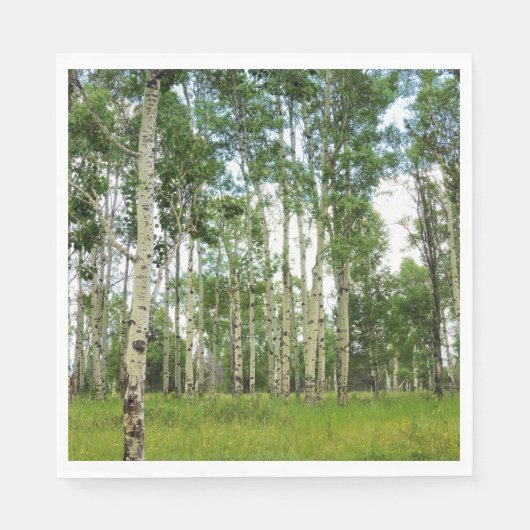 50 Paper Napkins Quaking Aspens Serviette (Vorderseite)