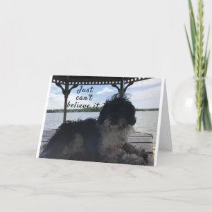 **50*** WIE SIEHT ES SICH AM GEBURTSTAG SPASS CARD KARTE