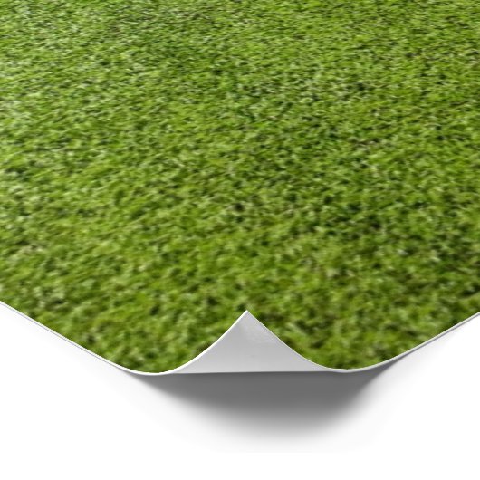 50-Yard-Linie Poster (Ecke)