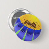 50ant button (Vorne & Hinten)