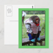 52170 POSTKARTE (Vorne/Hinten)